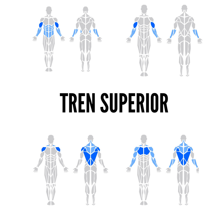 EJERCICIOS PARA TREN SUPERIOR
