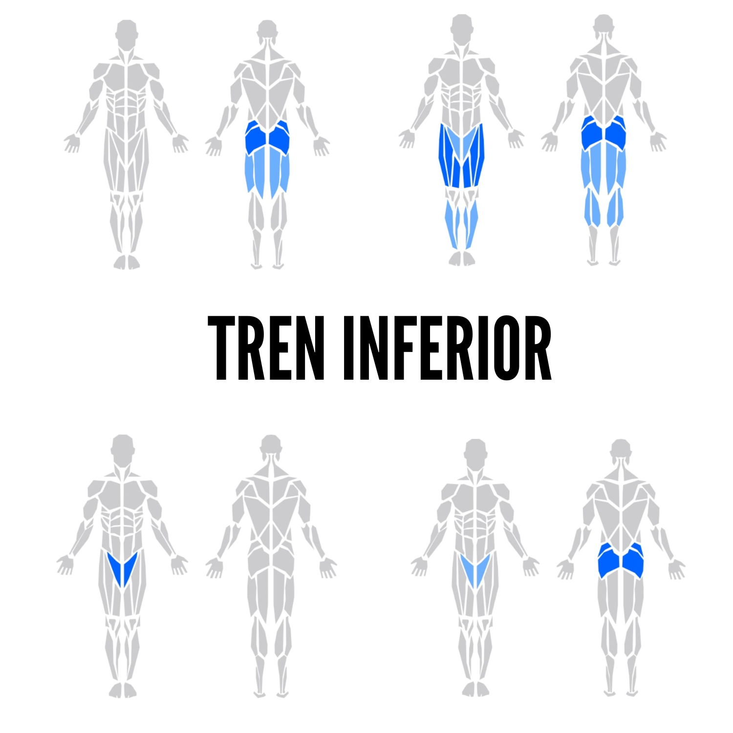 EJERCICIOS PARA TREN INFERIOR